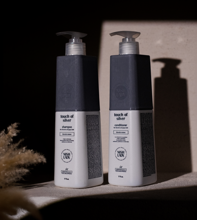 ❄️ Touch of Silver